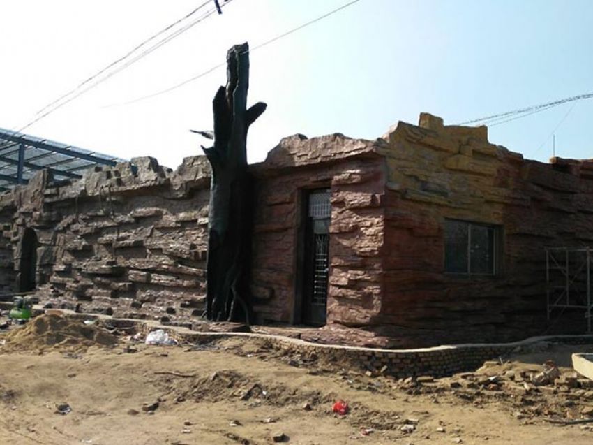 點擊查看詳細信息<br>標題：假房子 閱讀次數：1339