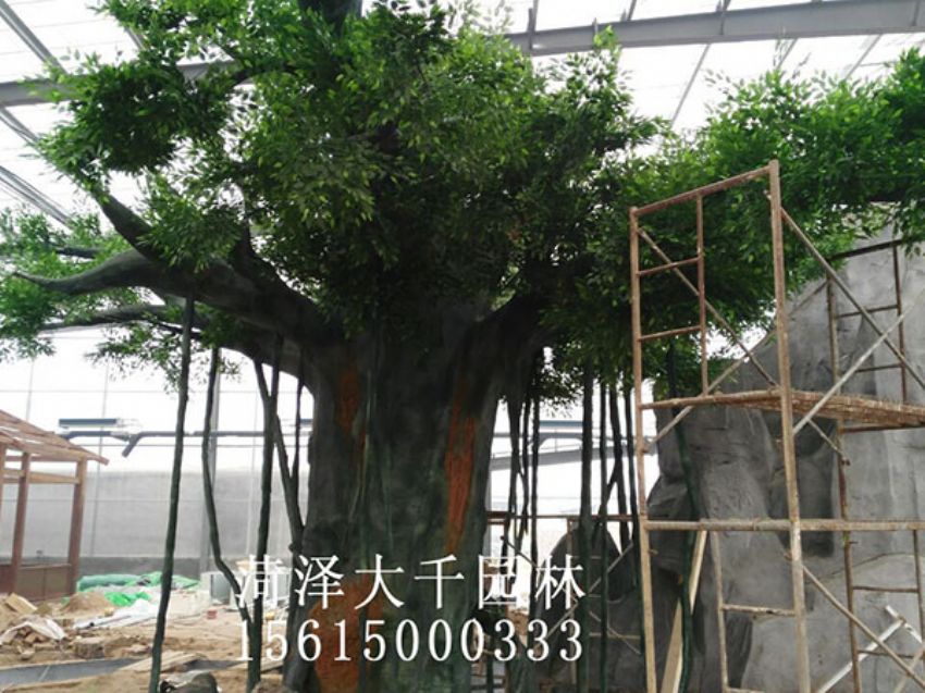 點擊查看詳細信息<br>標題：假樹 閱讀次數：1477