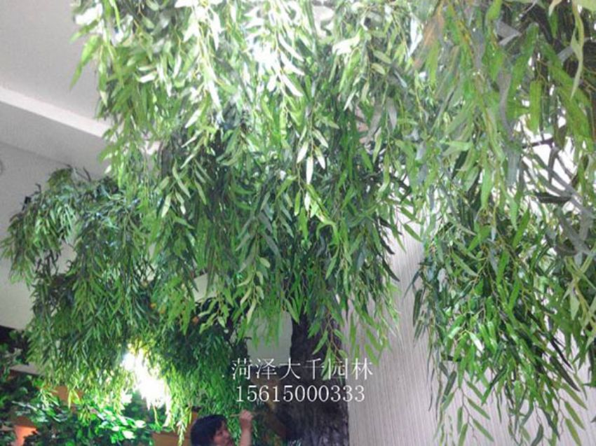 點擊查看詳細信息<br>標題：假樹 閱讀次數：1400