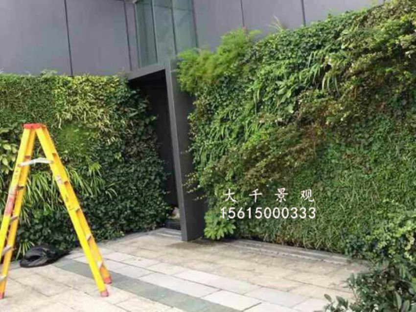 點擊查看詳細信息<br>標題：綠植墻 閱讀次數(shù)：1565