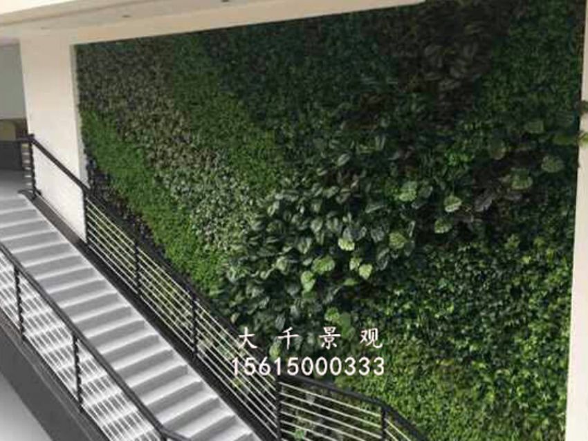 點擊查看詳細信息<br>標題：綠植墻 閱讀次數(shù)：1716