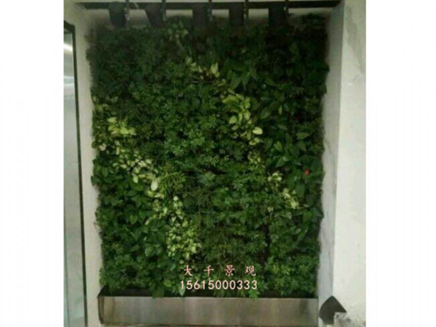 點擊查看詳細信息<br>標題：綠植墻 閱讀次數：2151