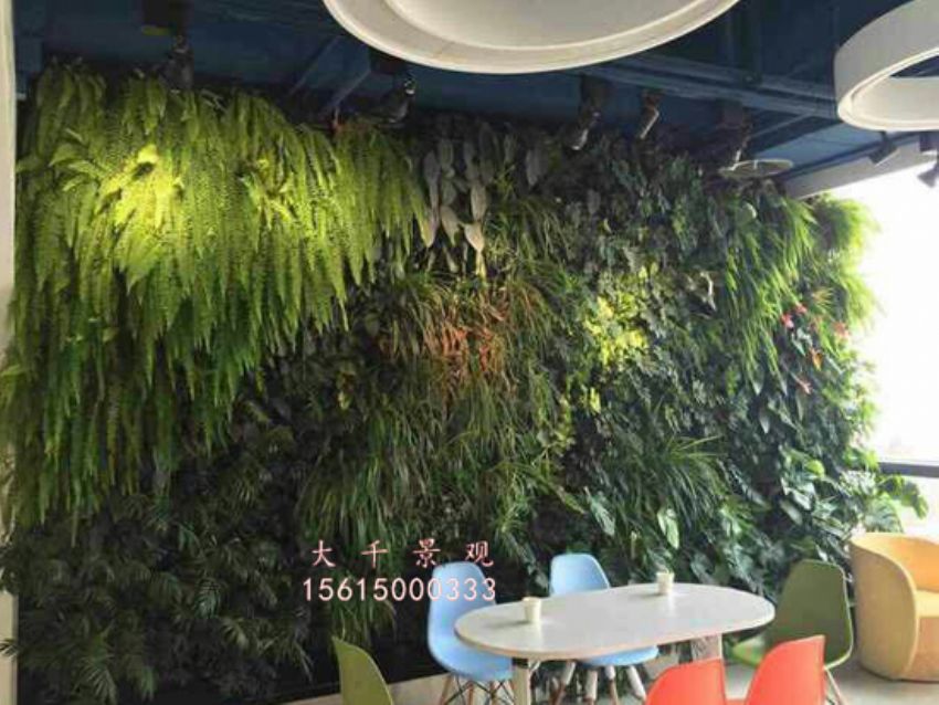 點擊查看詳細信息<br>標題：綠植墻 閱讀次數：2000