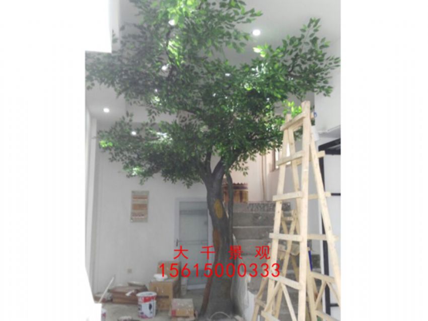 點擊查看詳細信息<br>標題：瓷磚磁瓦 閱讀次數：2392