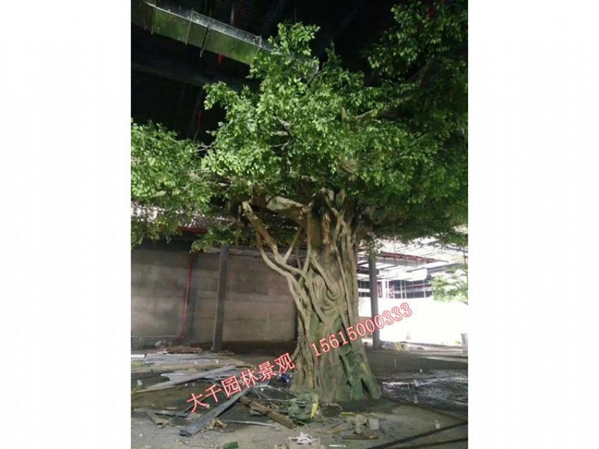 點擊查看詳細信息<br>標題：假樹 閱讀次數：2521